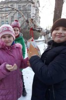 нагодуй птахів 13