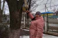 Нагодуй птахів 7